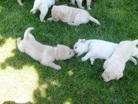 /album/fotos-recentes-/fotos-077-jpg/